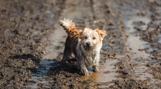3 napos időjárás: Bosszantó hozadéka lesz a hét eleji enyhülésnek 3 napos időjárás: Bosszantó hozadéka lesz a hét eleji enyhülésnek