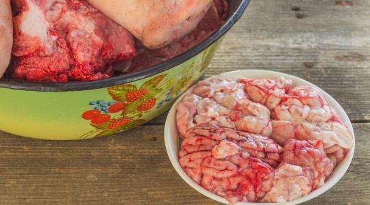 Sokan fintorognak tőlük, pedig aligha találni jobb természetes vitamin- és ízületvédő forrásokat Sokan fintorognak tőlük, pedig aligha találni jobb természetes vitamin- és ízületvédő forrásokat
