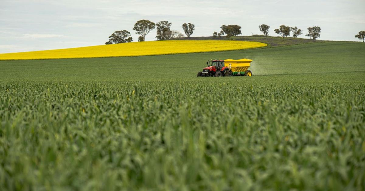 Vizeletből műtrágya? Szurkolók menthetik meg az agráriumot