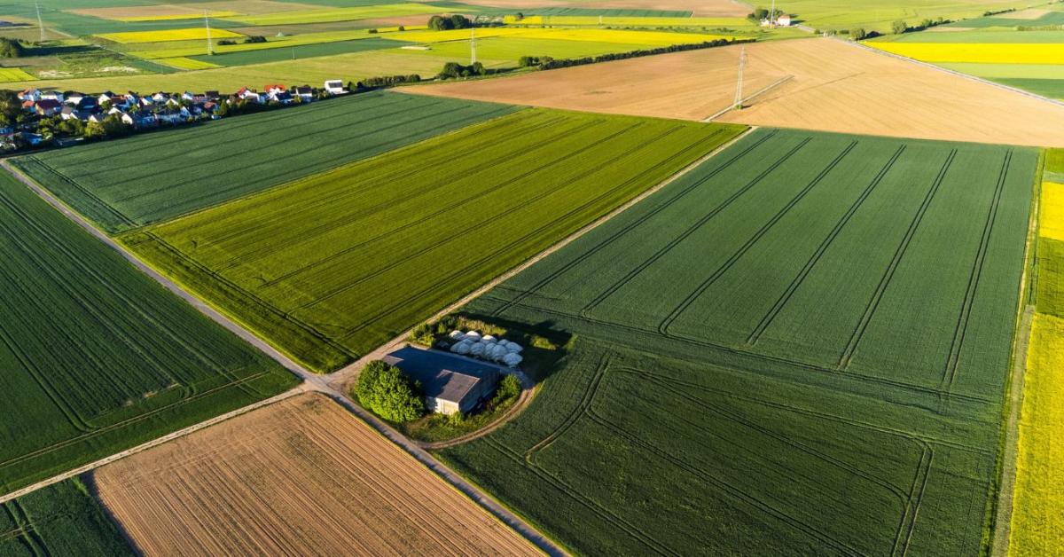 Ezt kell most tudnod a haszonbérleti szerződésekről!