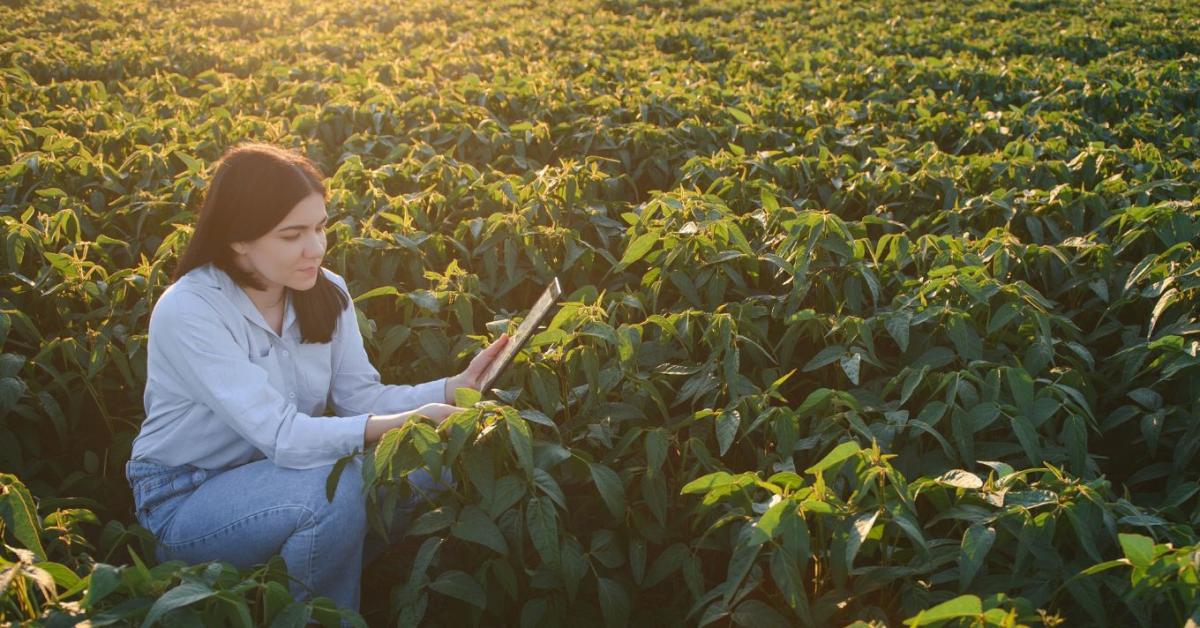 Nem lesz, aki dolgozzon? Az agrárium már nem elméletben keresi a választ