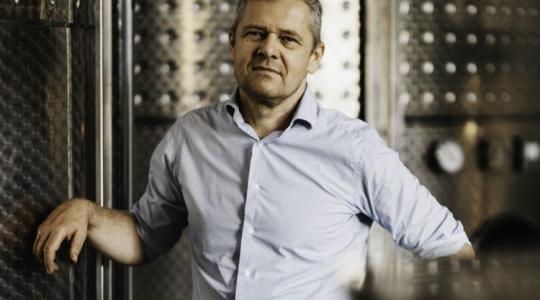 Tőkék tízezreit vágják ki: sorsdöntő év jön a szőlőben