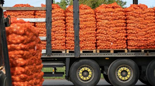 Menekül az afrikai és egyiptomi áru a Közel-Keletről: Elárasztja az EU-t az olcsó import, veszélyben a hazai termelők Menekül az afrikai és egyiptomi áru a Közel-Keletről: Elárasztja az EU-t az olcsó import, veszélyben a hazai termelők