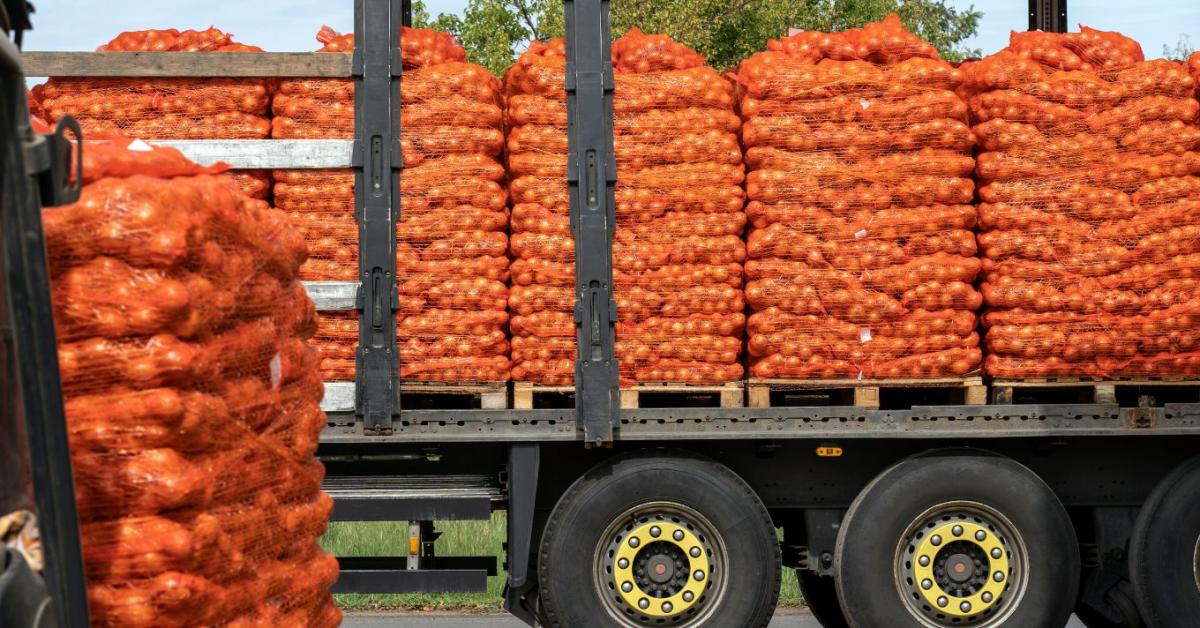 Menekül az afrikai és egyiptomi áru a Közel-Keletről: Elárasztja az EU-t az olcsó import, veszélyben a hazai termelők