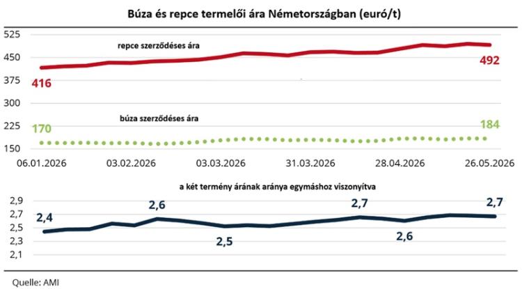 Repce és búza áralakulása Repce és búza áralakulása