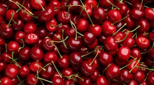 Kihívásokkal teli a szezon a cseresznyetermelők számára
