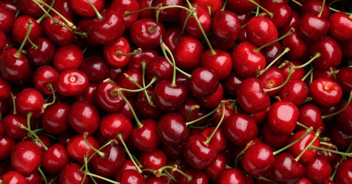 Kihívásokkal teli a szezon a cseresznyetermelők számára