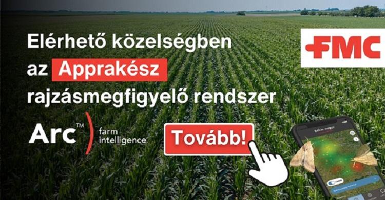 körkérdés körkérdés