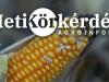 Toxinproblémák kukoricában. Mi a megoldás? – Heti Körkérdés