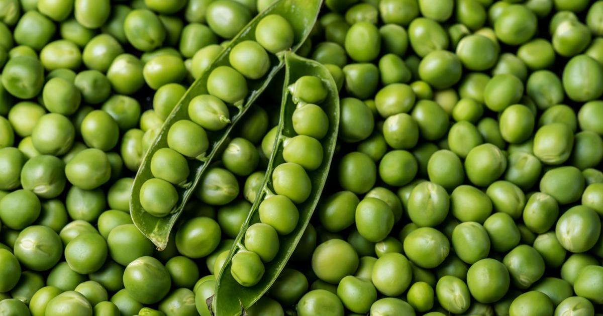 Még mindig nagyok vagyunk a borsókonzerv exportjában