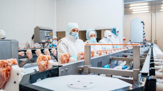 Veszélyben a 120 milliárdos beruházás: Külföldi munkavállalók híján csökkenhet a hazai termelés