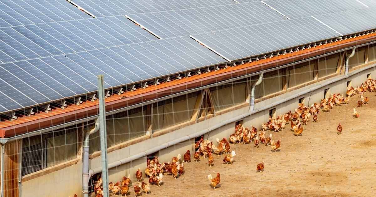 Lecseréljük Paksot? Történelmi rekord a magyar villamosenergia-termelésben