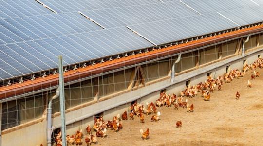 Lecseréljük Paksot? Történelmi rekord a magyar villamosenergia-termelésben