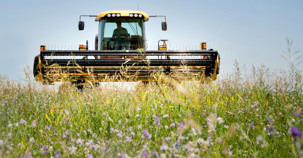 3 napos időjárás-előrejelzés: Átmeneti nyugalom után újabb hidegfront csap le ránk