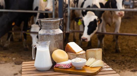 Újraindul a kisüzemek beruházási támogatása