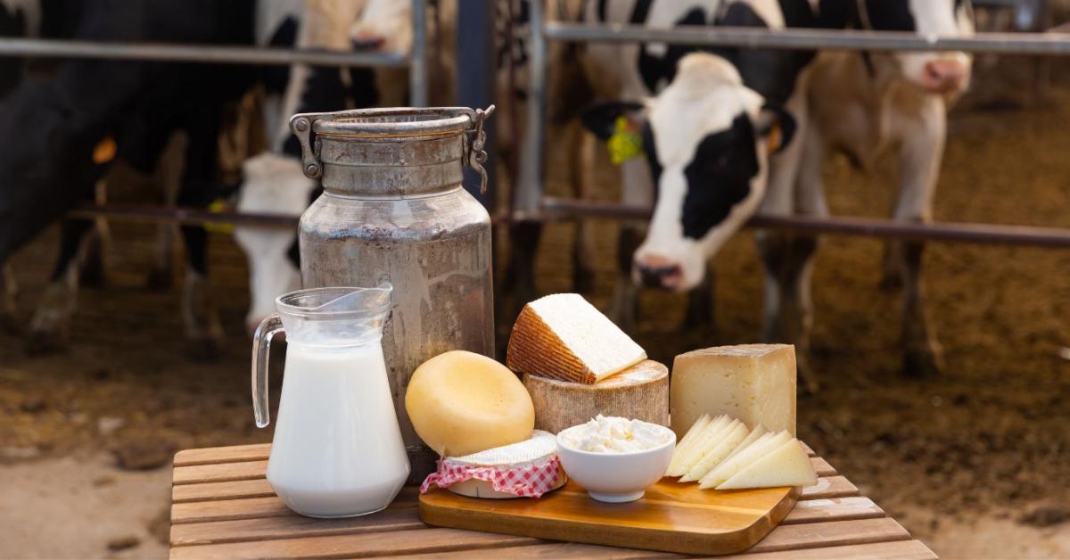 Újraindul a kisüzemek beruházási támogatása Újraindul a kisüzemek beruházási támogatása