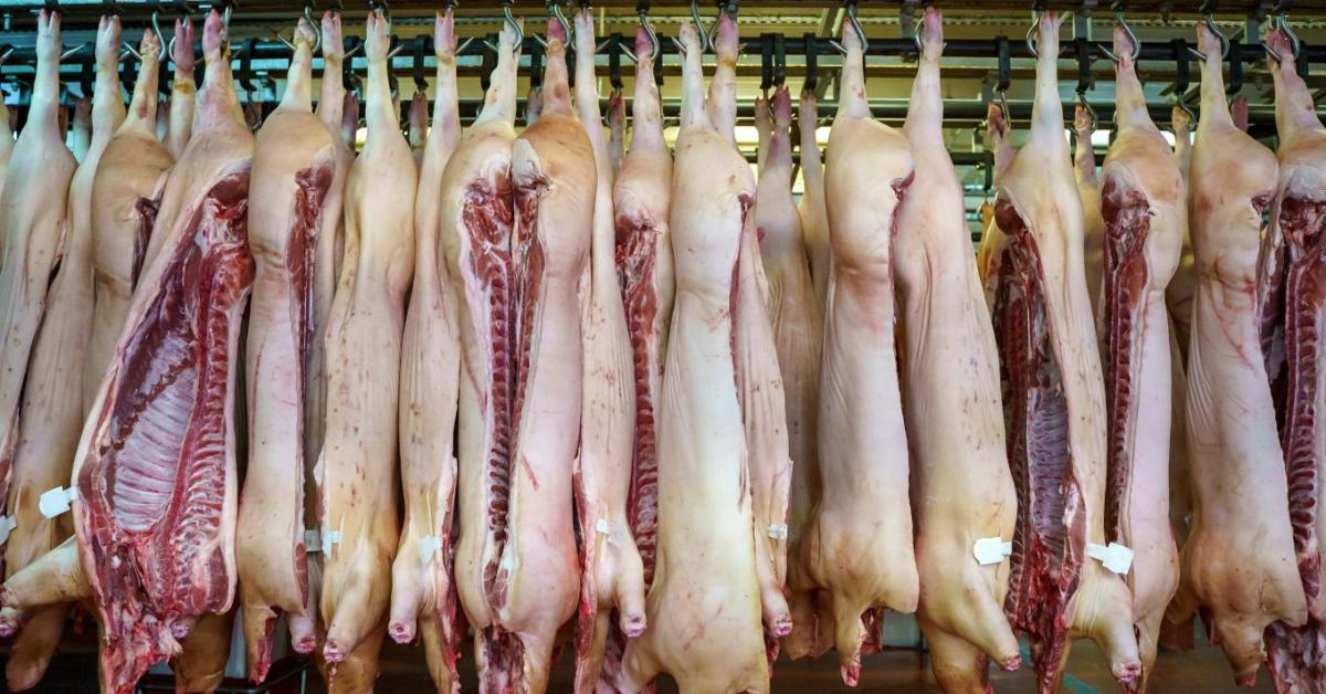 Mesterséges intelligencia segítheti a húsellenőrzést az EU-ban Mesterséges intelligencia segítheti a húsellenőrzést az EU-ban
