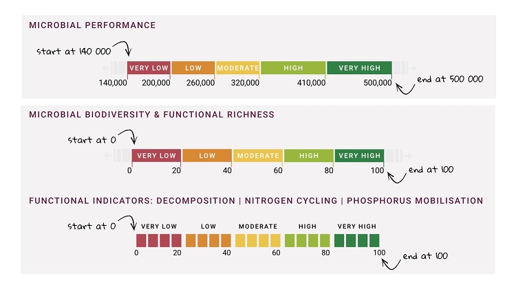 Biológiai Talaj Analízis módszere Biológiai Talaj Analízis módszere