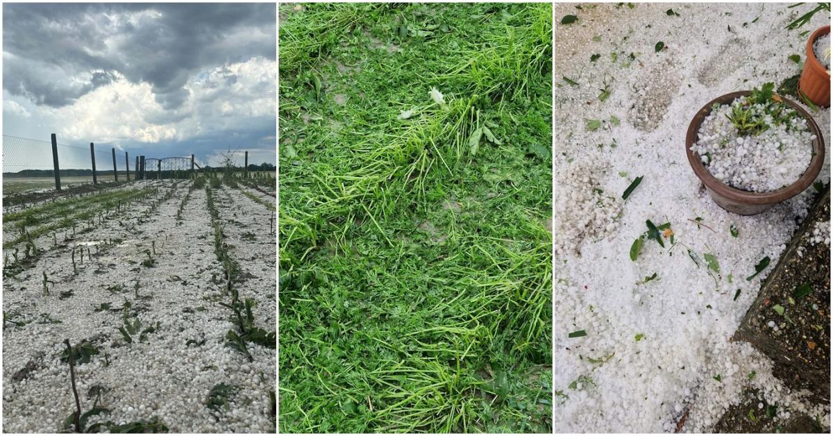 Jégeső tarolta le az országot: ezért nem működtek a jégkármérséklő generátorok mindenhol Jégeső tarolta le az országot: ezért nem működtek a jégkármérséklő generátorok mindenhol