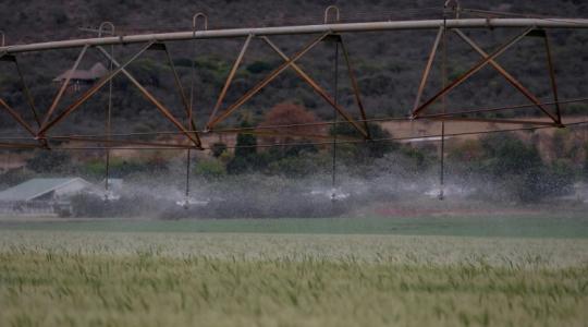 Tavasszal megnyílnak a pénzcsapok a gazdáknak