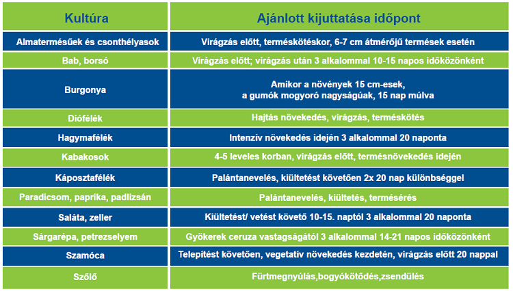 körkérdés