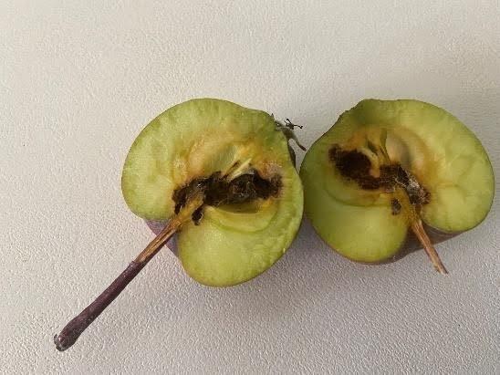 körkérdés