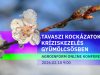 Tavaszi kockázatok, kríziskezelés gyümölcsösben - Agroinform online konferencia
