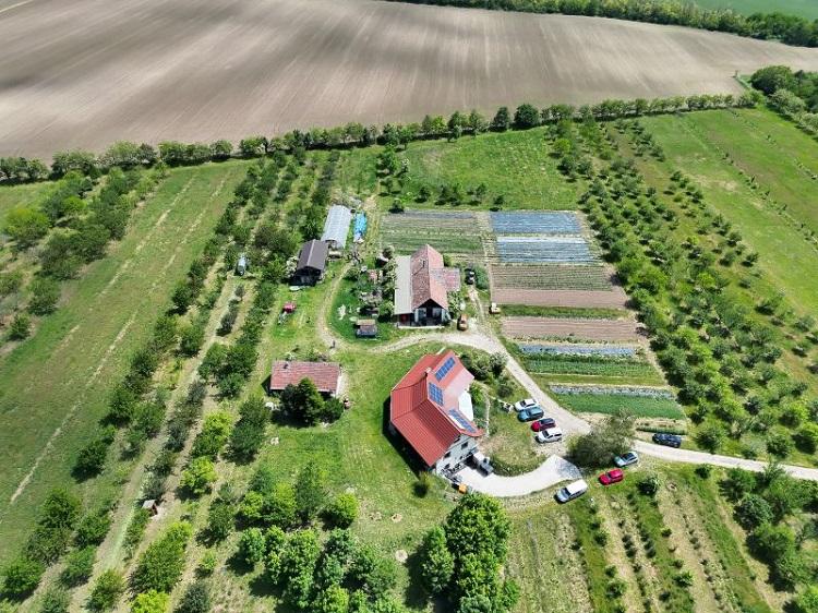 agrárerdészet agrárerdészet