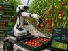 Már nem csak betakarít a robot – feleslegessé válnak az agronómusok?