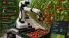 Már nem csak betakarít a robot – feleslegessé válnak az agronómusok?
