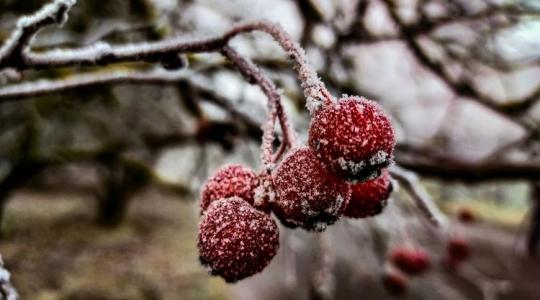Ezt nem láttuk jönni: drasztikus lehűlés a hétvégén!