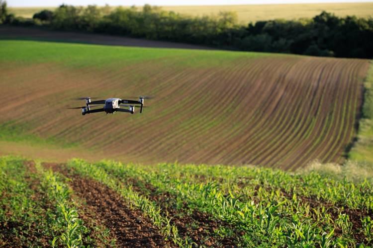 Hatalmas előrelépések a légi növényvédelemben – így változtatja meg a dróntechnológia a magyar agráriumot Hatalmas előrelépések a légi növényvédelemben – így változtatja meg a dróntechnológia a magyar agráriumot