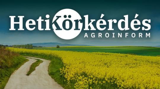 Mutasd, melyek a stressztűrésben jeleskedő repcehibridek! – Heti Körkérdés