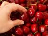 Nehogy kidobd a cseresznye szárát! Aranyat ér, ha ezt tudod!