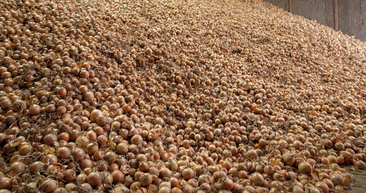 Szomorú: a nagy hagymákat is nehéz eladni Szomorú: a nagy hagymákat is nehéz eladni