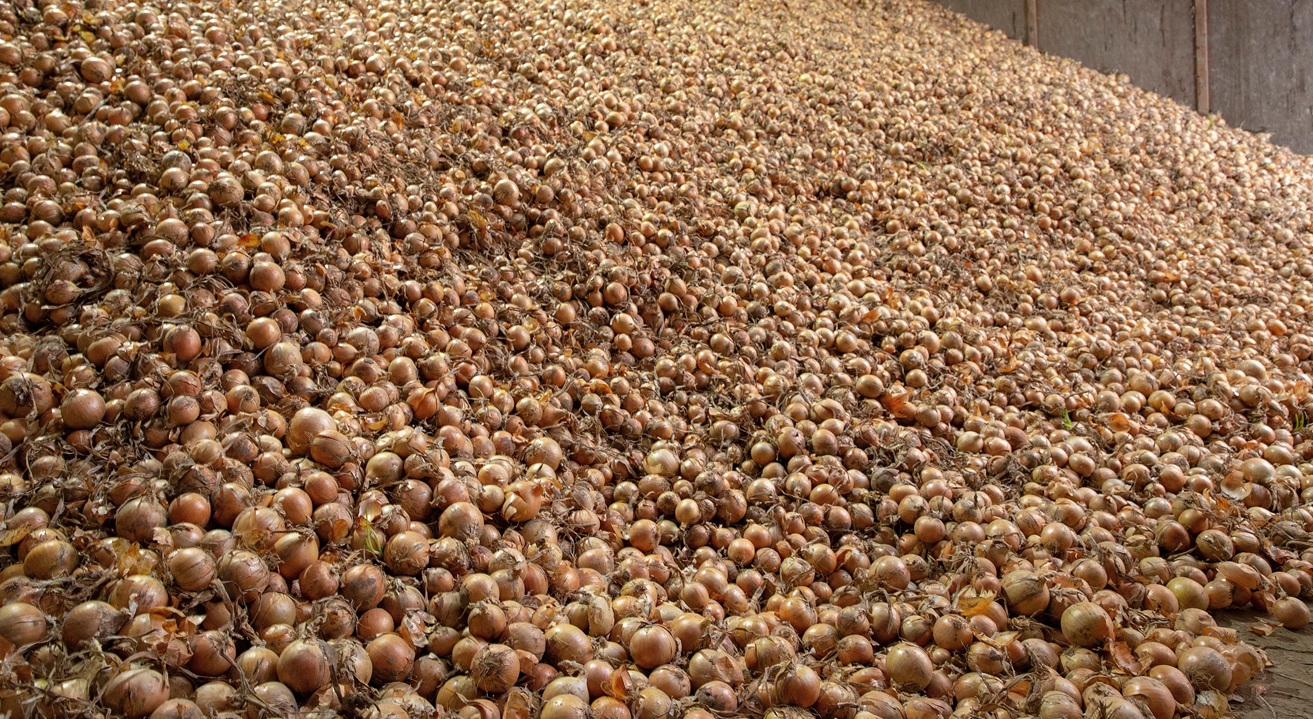 Még mindig sok a hagyma a raktárakban