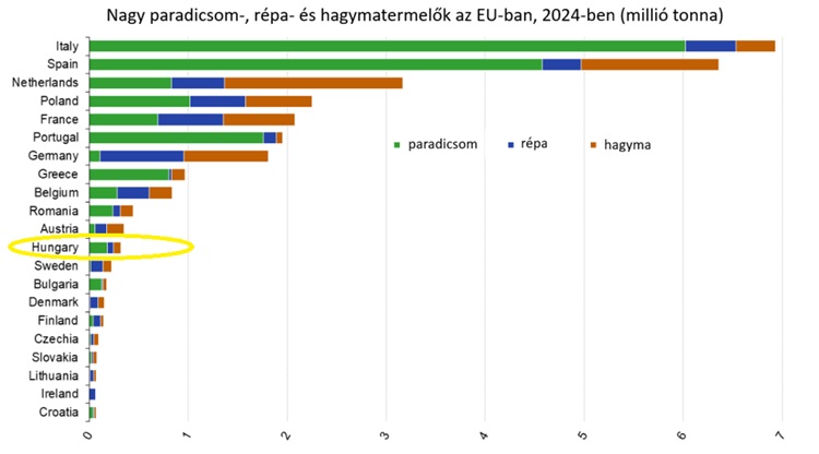 Paradicsom, répa és hagyma termelése az EU-ban, 2024-ben