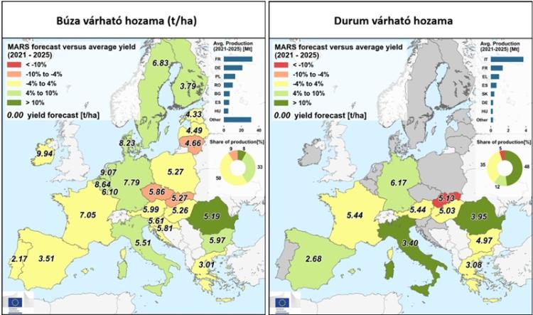 Búza és durum várható termésátlaga Búza és durum várható termésátlaga
