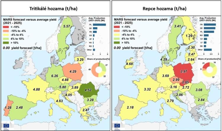 Tritikálé és repce becsült hozamai Tritikálé és repce becsült hozamai