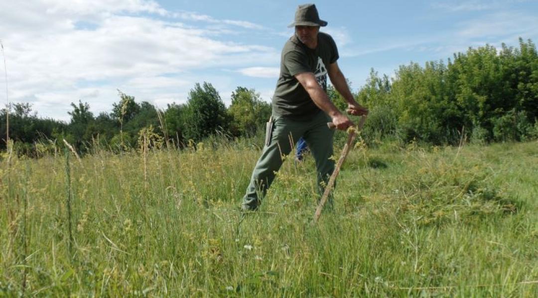 Kaszát ragadnak a természetért – indul az ország egyik legkülönlegesebb nyári tábora
