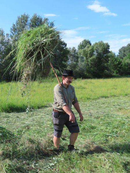 kaszálás