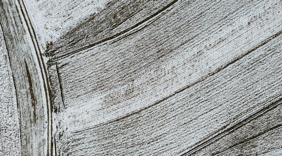 Így teheti tönkre a fagy a gabonát: mutatjuk a kritikus hőmérsékleti határokat