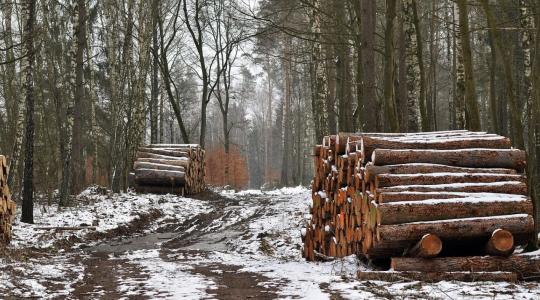 Figyelem! Leáll az EUDR információs rendszere