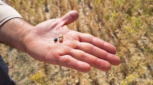 Mediterrán megoldások magyar kihívásokra: tanulságok az IMIDRA kutatóintézetből II. rész