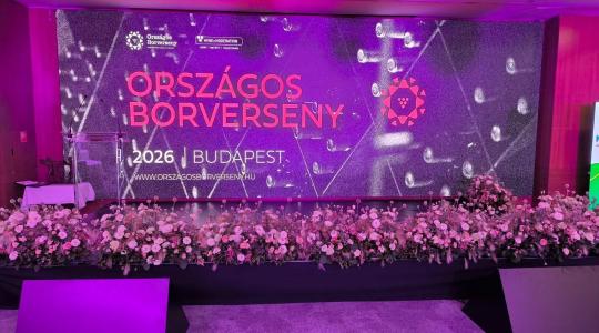 45. Országos Borverseny: ezek a magyar borok taroltak idén, mutatjuk a győzteseket