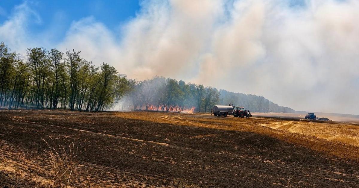 Óriási gabonatűz Vasban: a traktorok is harcba szálltak