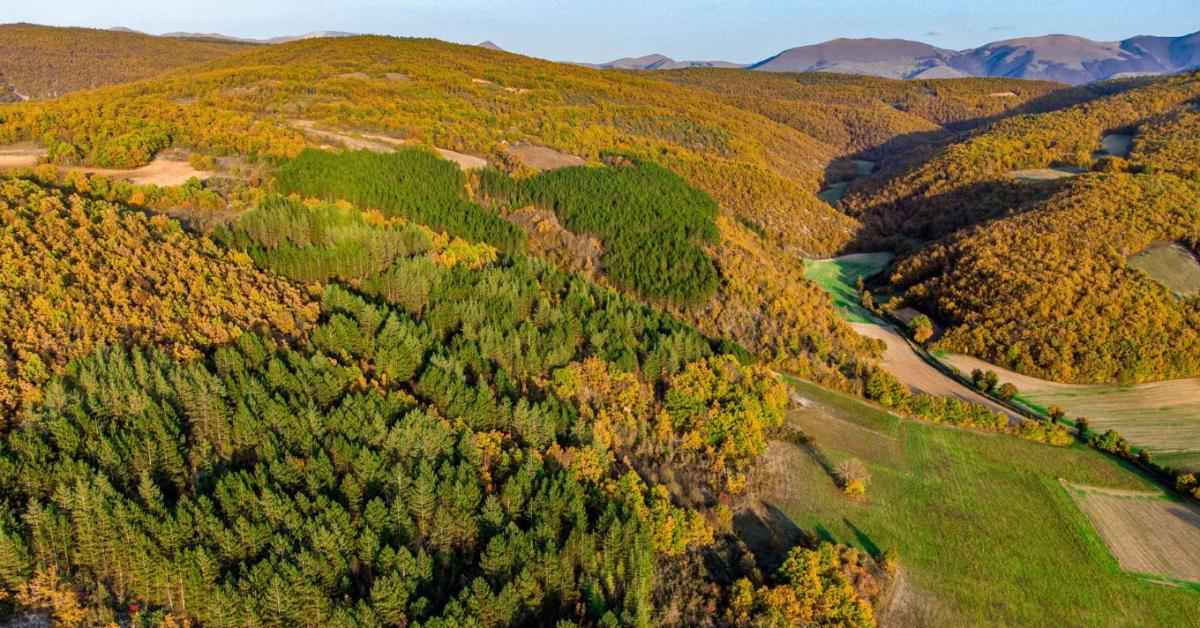 Új szabályok jönnek a földminősítésben Új szabályok jönnek a földminősítésben