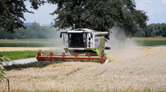 Időjárás-előrejelzés: hőség és napos idő vár ránk vasárnap estétől hétfőig