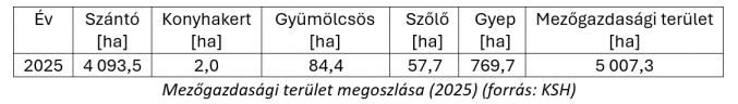 víz