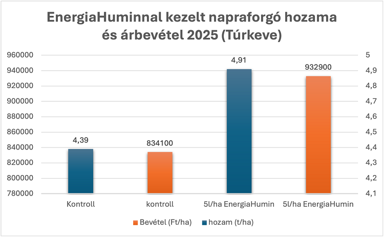 napraforgó napraforgó